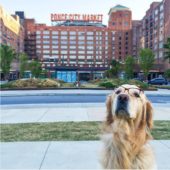 imagine-media-ponce-city