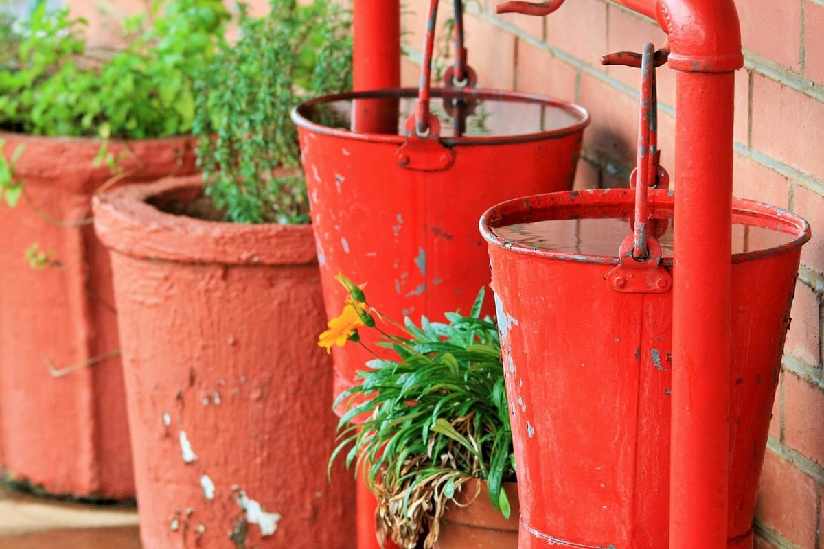 6 Bucket List Events for the Month of November