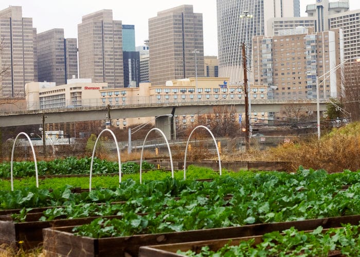 Clark Atlanta University Secures Grant To Lead Food Tech Innovation