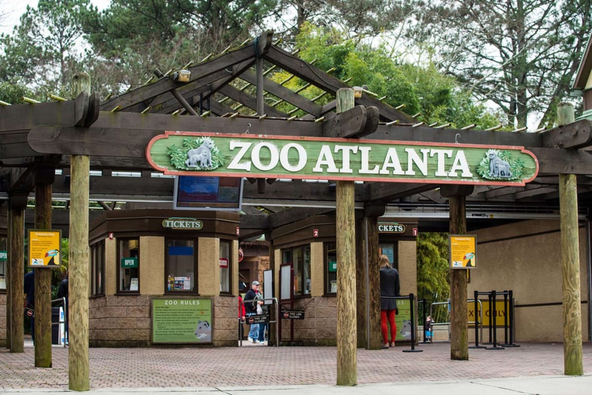 Zoo Atlanta Taps Local Startup To Make Visits More Accessible