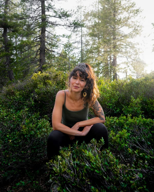 Discover the Southeast’s Best Waterfront Getaways: Affordable Adventures and Cultural Delights