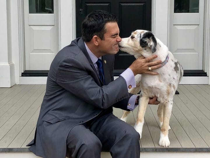 PetScreening Could Lower Your Climbing Pet Rent With Its 'Fido Score'