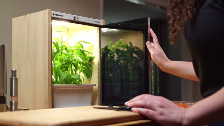 Replantable Grows to Seed Kitchens with Sustainable Eats