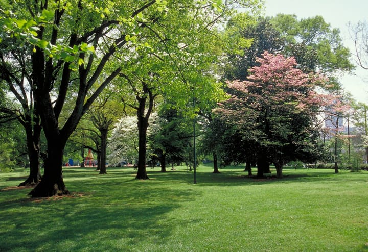 An Evening in the Park: Network Under 40 to Gather Young Professionals at Magnolia Hall