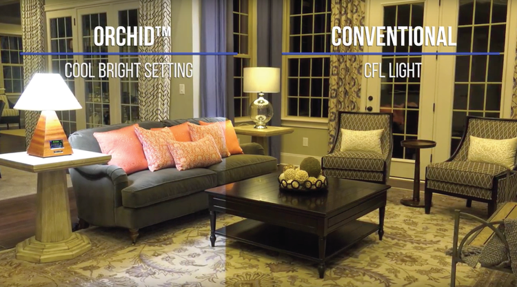 This Smart LED Lamp Lets You Personalize Lighting to Your Mood