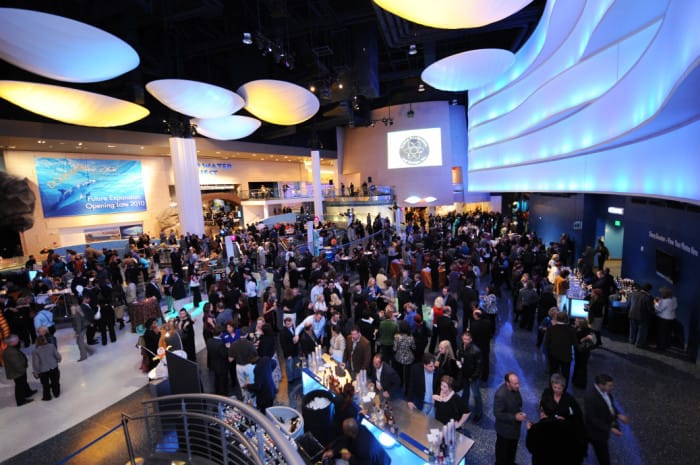 Show What The Southeast Is Made Of | Apply To Venture Atlanta