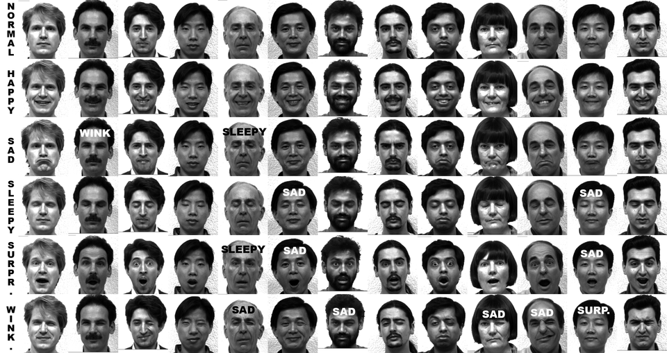 Student Talent | Developed Algorithm to Recognize Facial Expression