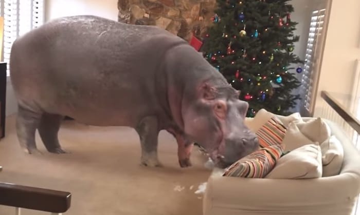 Present Procrastinator? Atlanta Companies Have Your Holidays Covered