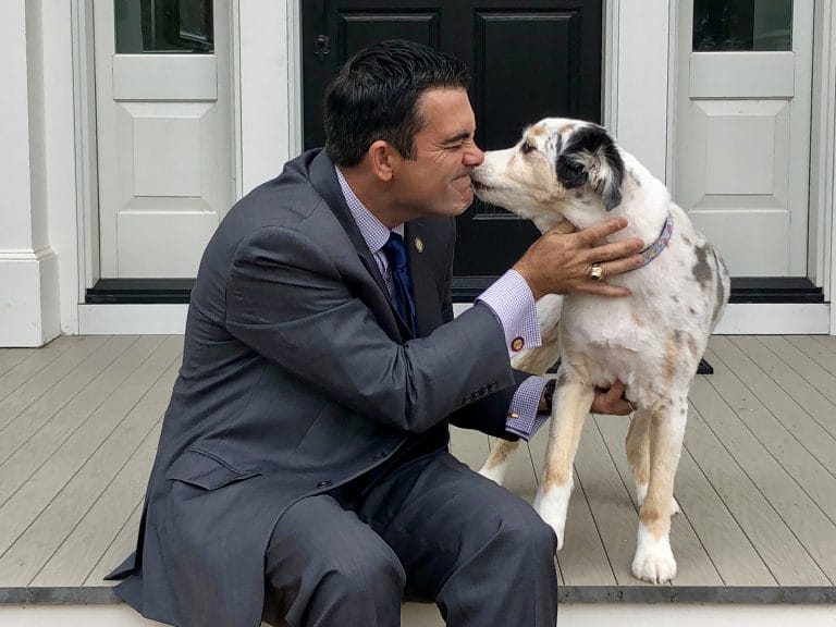 PetScreening Could Lower Your Climbing Pet Rent With Its 'Fido Score'