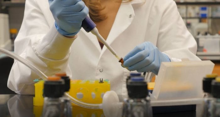 LabCorp-Backed Medtech Startup Predicts Outcome of Cancer Therapies On Tumors