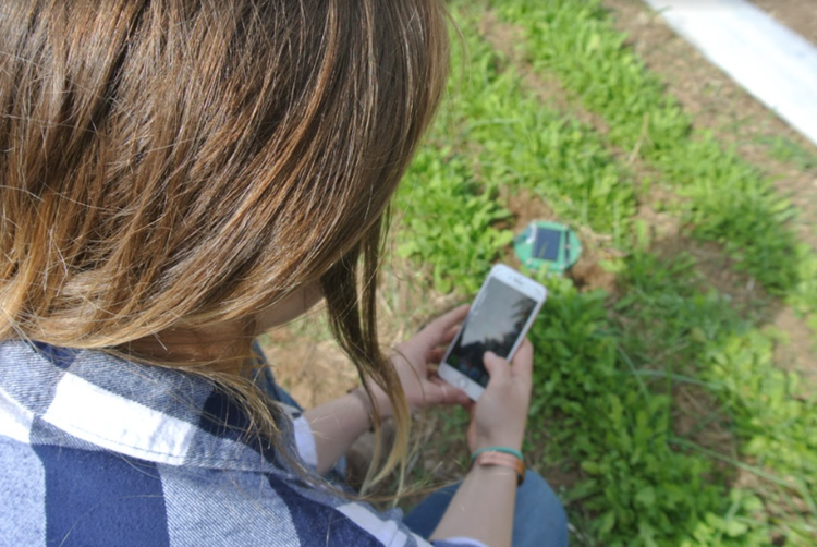 Mesur.io Sets Up Farmers, Growers, and Golf Courses For Data-Driven Success