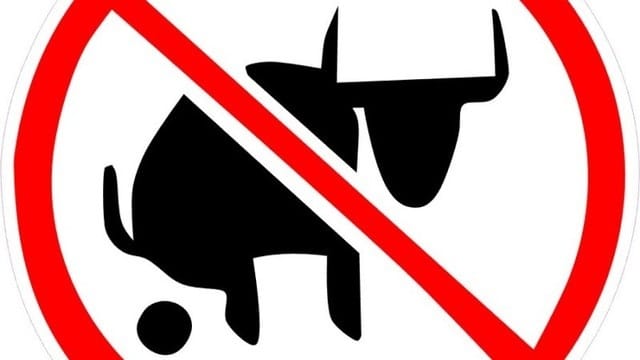 Most advice out there is BS