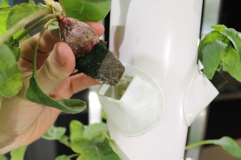 Seed Startup Seeks Seed Round