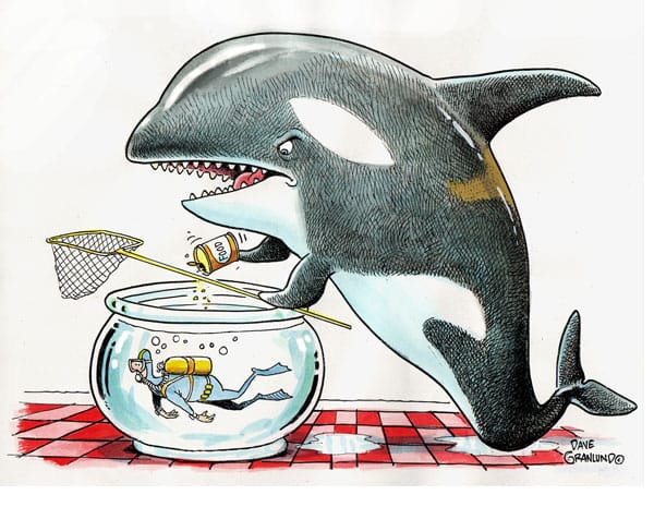 SwitchPitch | The Big Wigs Were in the Tank