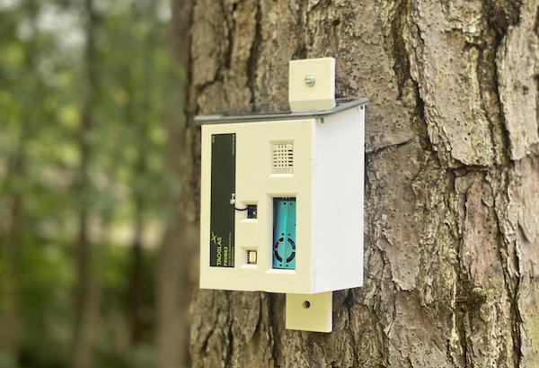 Wildfires Spark Entrepreneurial Spirit In Four Students From Charlotte